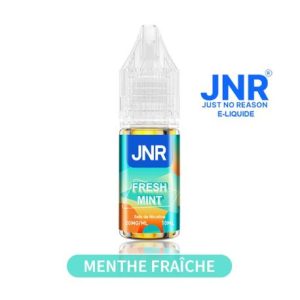 e liquide fresh mint 10ml jnr
